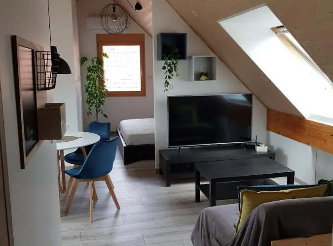 Superbe Appartement Type T1 Proche Strasbourg