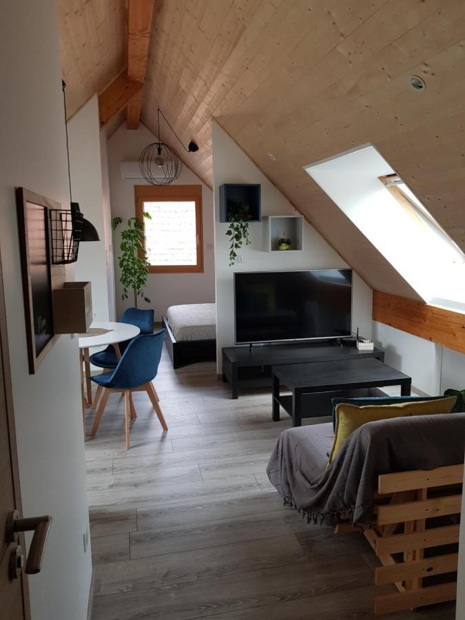 Superbe Type T1 Proche Strasbourg Apartamento *