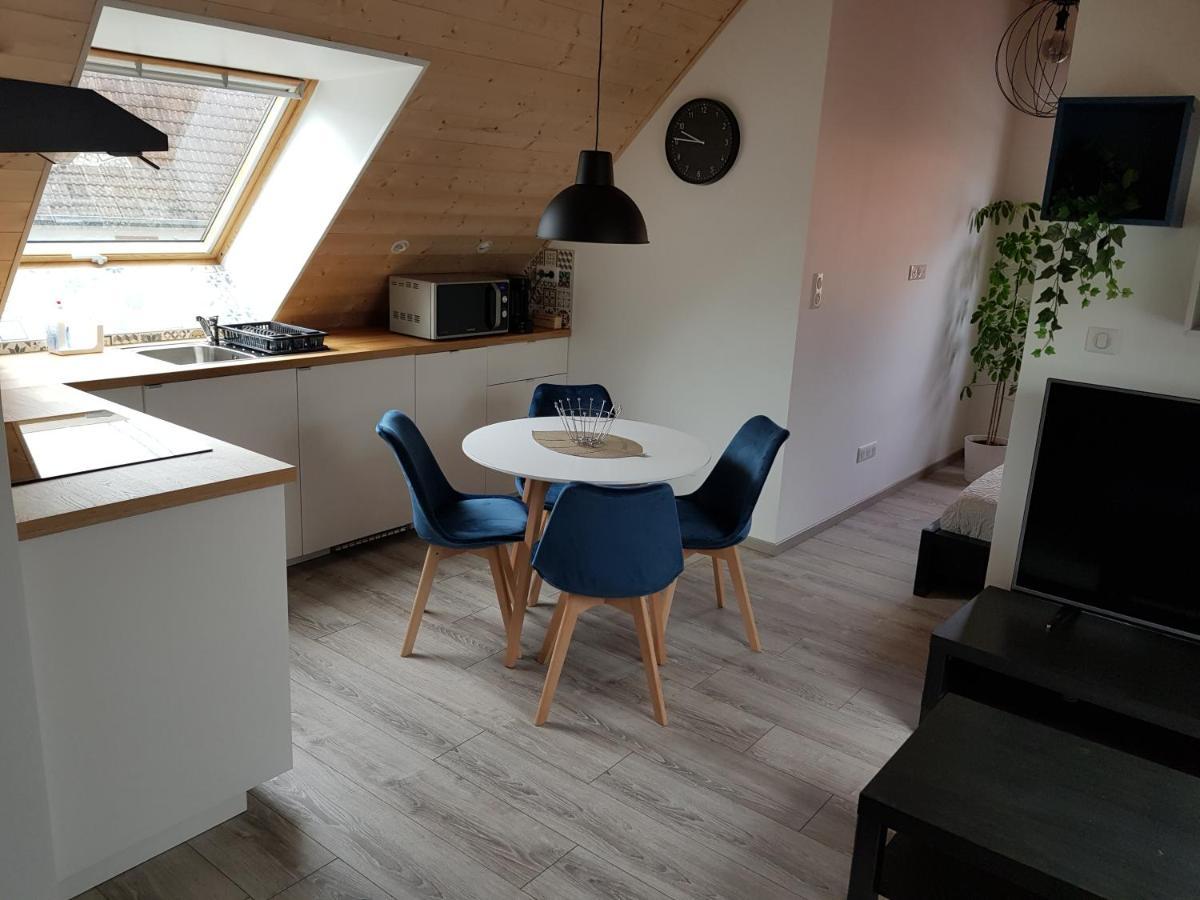 Superbe Type T1 Proche Strasbourg Truchtersheim